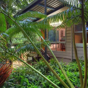  Lodge Chambers Wildlife Rainforest